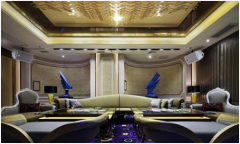 娱乐场所病媒消杀防治